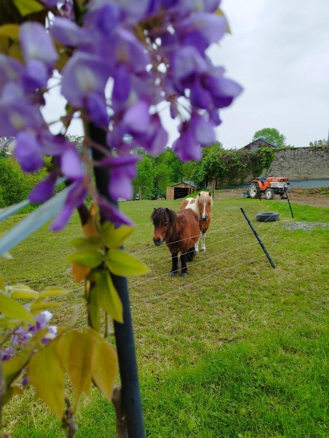Le Domaine De Pivette Chambre Climatisee Et Insolite Avec Terrasse Privative Avranches Exterior foto